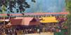 http://en.vyganews.com/wp-content/uploads/2013/01/sabarimala.jpg